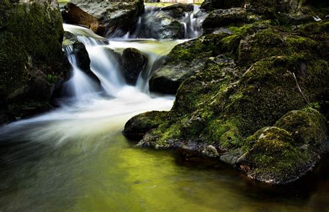 Gambar Pemandangan Pohon Alam Batu Air Terjun Aliran Musim