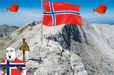 Wojak Soyjak Norwegian Ridge With Fish Birds Soy Boy Face Soyjak