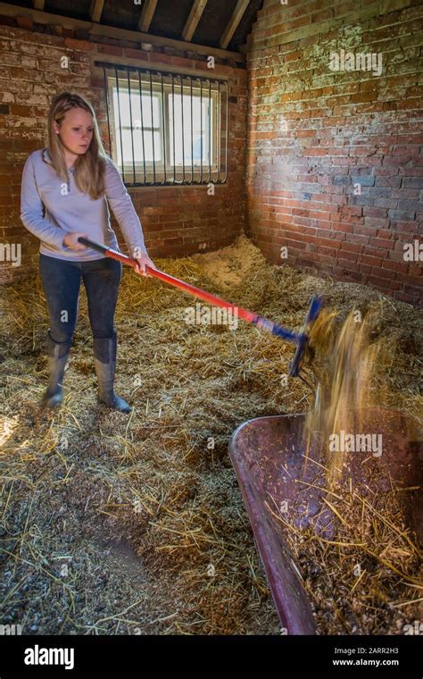 Mucking Out Girl Fotos Und Bildmaterial In Hoher Aufl Sung Alamy