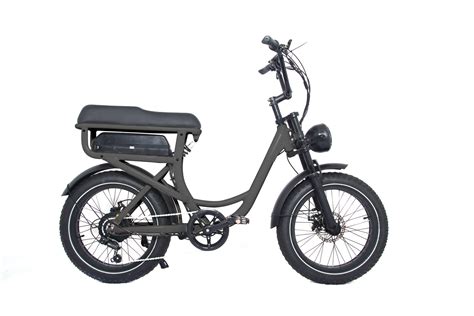 Fat Tire Electric Bike 20 E Bike Cheap Bulk Price 500W Electric