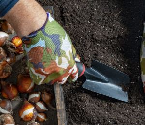 Avoir Un Jardin Fleuri Tout L Hiver Quoi Planter Pour Avoir Des