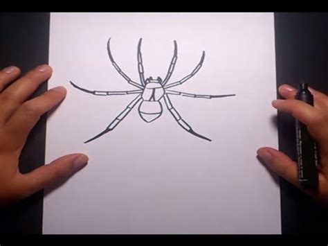 Como dibujar una araña paso a paso 4 | How to draw a spider 4 - YouTube