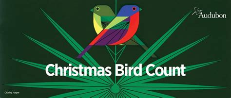 CT Christmas Bird Count 2024-25 Schedule Announced - Connecticut