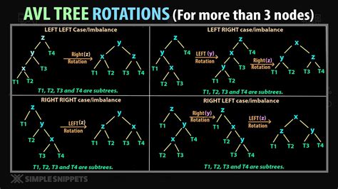 What Are Nodes In Plants Back Gardener