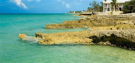 cayman         tripadvisor
