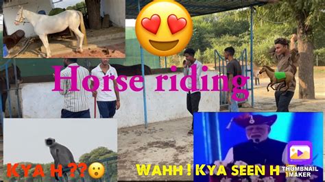 Horse Riding Club 🏇🐎and Meet Up To Friends ️॥ Watch To Full Video 🤩🌈