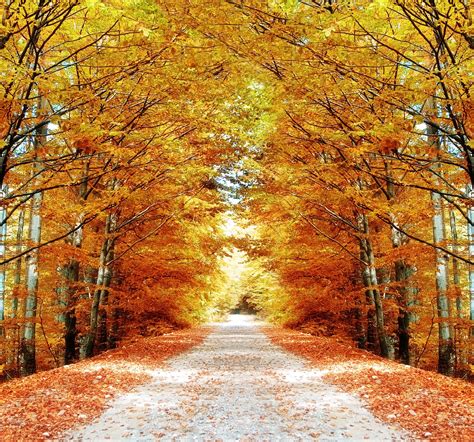 As Belezas E O Turismo Do Outono No Canad Visto Para O Canad