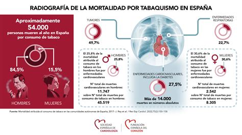 Salud Cardiovascular Fundación Española Del Corazón