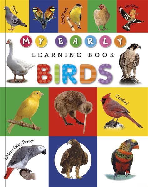 My Early Learning Book Of Birds Kids Wonderland