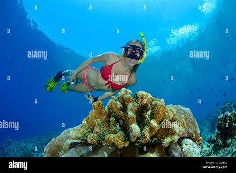 Young Woman Snorkeling In Beautiful Coralreef On Selayar Island