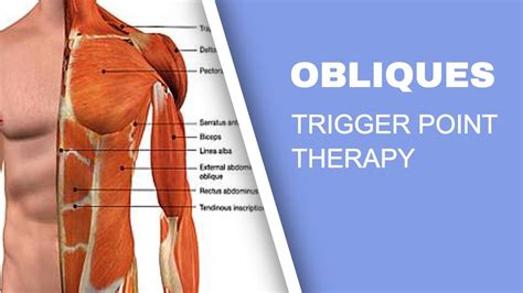 Trigger Point Release Therapy - The Obliques - YouTube