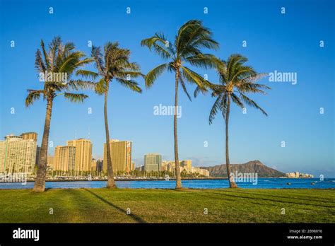 Honolulu Waikiki Beach Palm Trees at sunset, Oahu, Hawaii Stock Photo ...