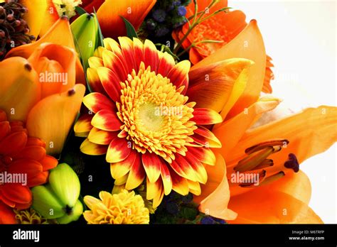 Einen Blumenstrau Rot Gelb Orange Und Lila Blumen Sind In Einem