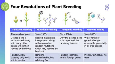 Four Revolutions Of Plant Breeding Innovative Genomics Institute Igi