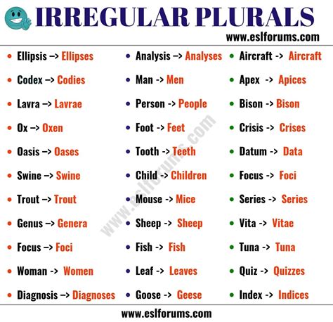 Irregular Plural Nouns Examples Sentences