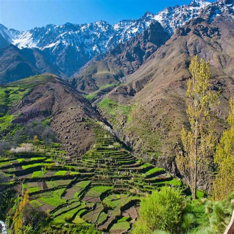 Desde Marrakech Excursi N De Un D A A Las Monta As Del Atlas Y Los