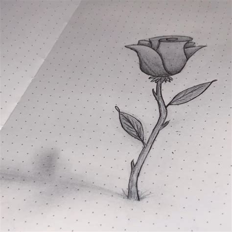 Rose Flower Rain In X In Bullet Journal Rose Tulip Rain