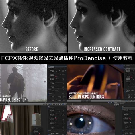 年费vip专享fcpx插件专业视频降噪去噪点插件prodenoise使用教程 Cgufo