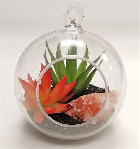 Succulent Air Plant Diy Sands Blog