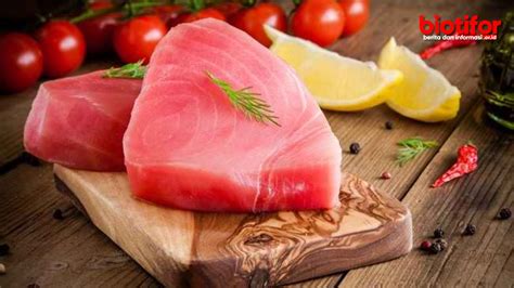 Manfaat Ikan Tuna Untuk Kesehatan Biotifor