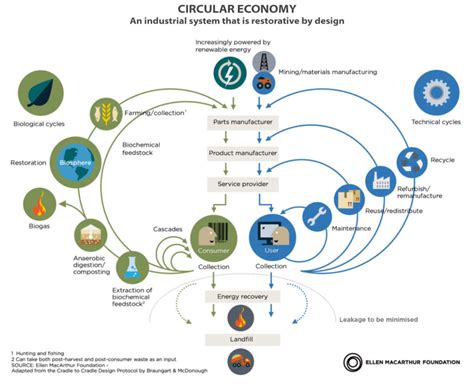 Leconomia Circolare E I Suoi Principi Chiave Antonio Di Bacco