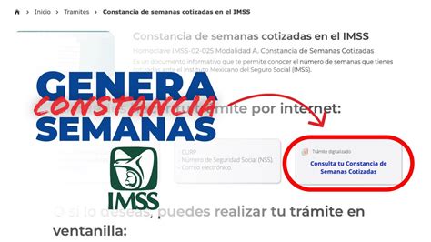 Como Sacar Y Descargar Tu Constancia De Semanas Cotizadas Del Asegurado