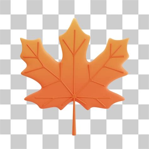 Premium Psd Maple Leaf D Illustrations