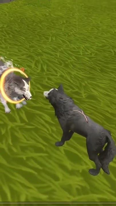 Short Story Music Wildcraftwolf Wolfstory Youtube