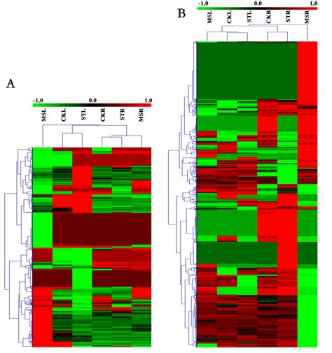 Heat Map Showing The Expression Mode And Strength Of The Differentially