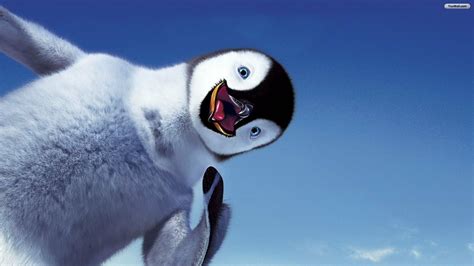 Happy Feet Full Hd Wallpaper And Background Image 1920x1080 Id440610