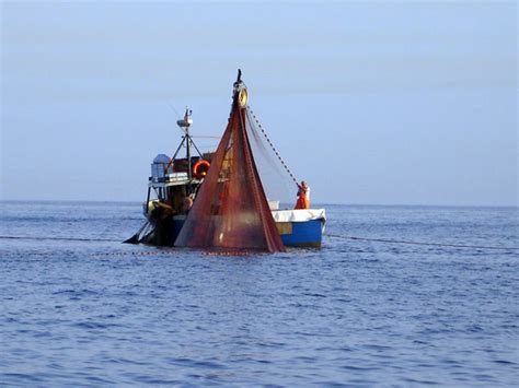 Pesca Veneto Milioni Di Euro Per Interventi Stutturali