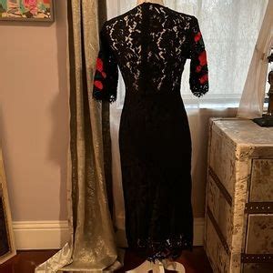 Express Dresses Nexiia Black Lace Red Rose Embroidered Dress Poshmark