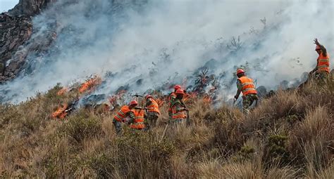 Arequipa Incendio Forestal Arrasa Con Mil Hect Reas De Pajonales