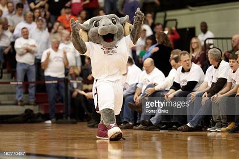 51 Fordham Mascot Stock Photos, High-Res Pictures, and Images - Getty ...