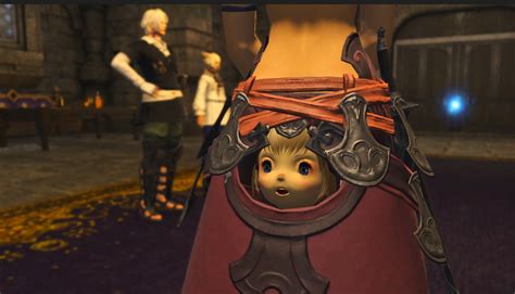 Lalafells Fit Perfectly Inside Minfilia S Butt Window R Ffxiv