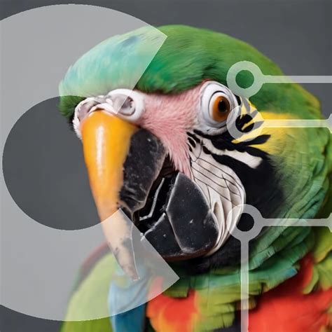 Vibrant Parrot Portrait Stock Photo Creative Fabrica