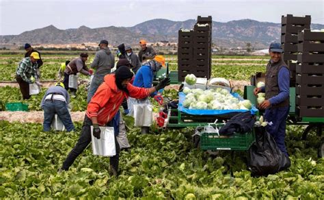 Cientos De Jornaleros Se Dirigen A Campos Agr Colas De Eeuu