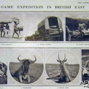 Big Game Hunt | AfricaHunting.com