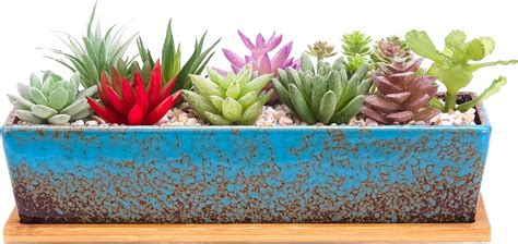 Grands Pots de Plantes succulentes avec Drainage Pot de bonsaï