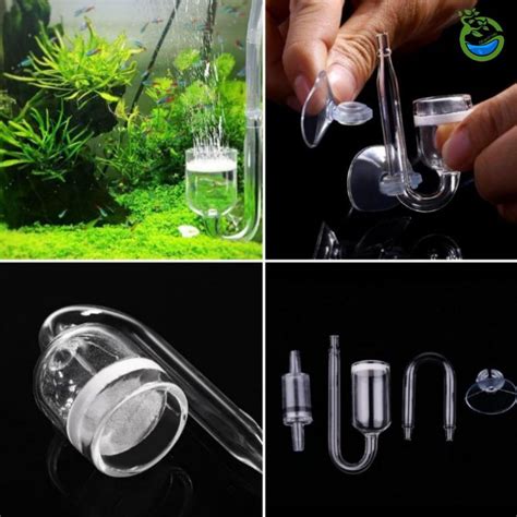 Jual Set Diffuser Co Aquascape Indonesia Shopee Indonesia