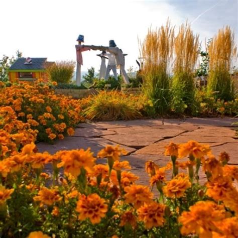 A Garden With Yellow Flowers And A Statue In The Background