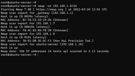 How To Install Nmap On Ubuntu