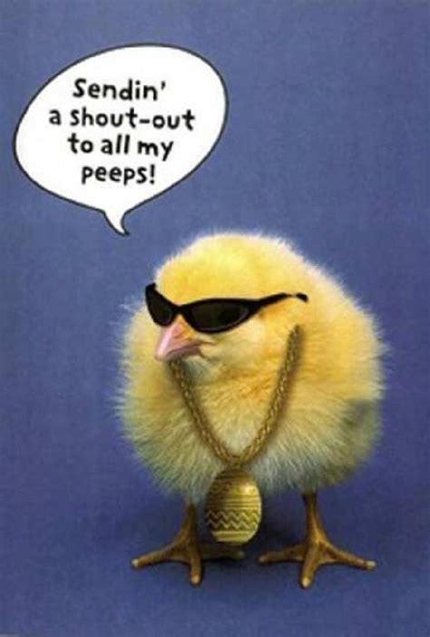 Sendin' a shout-out to all my peeps! | Happy easter funny, Funny easter ...