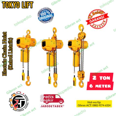 Jual Electric Chain Hoist 2ton X 6 Meter Tokyo Lift Japan Jakarta