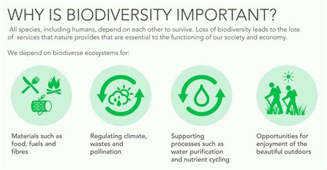 Biodiversity Importance