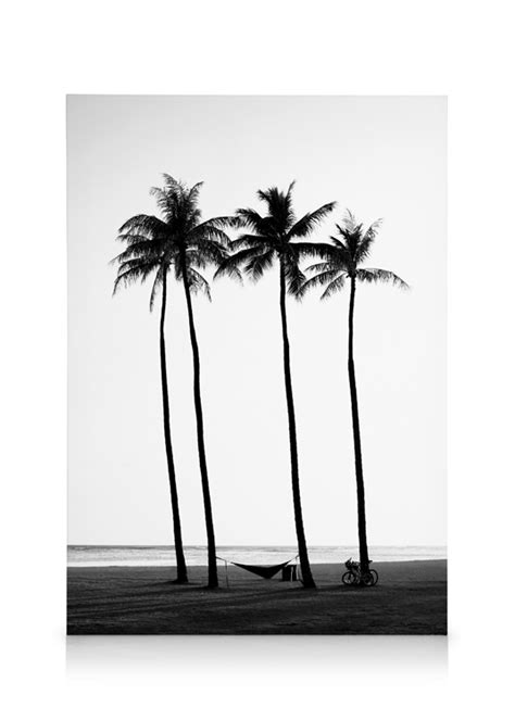 Palm Trees on Beach Canvas