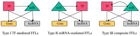 Ijms Free Full Text A Novel Strategy For Identifying Nsclc Microrna