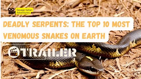 Deadly Serpents The Top Most Venomous Snakes On Earth Jungle