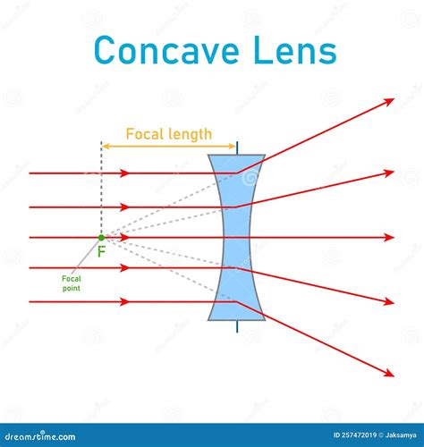 Lente Convexa Y Cóncava Diagramas De Ilustración 45 Off