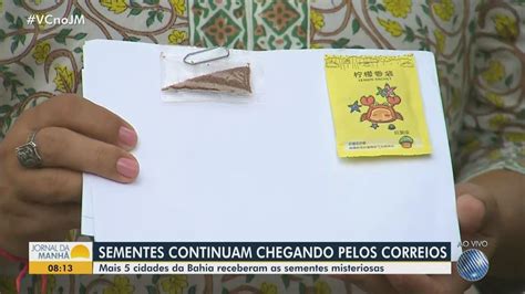 Moradores De Outras Cidades Baianas Receberam Sementes Misteriosas